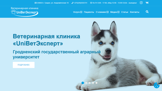 Скриншот сайта