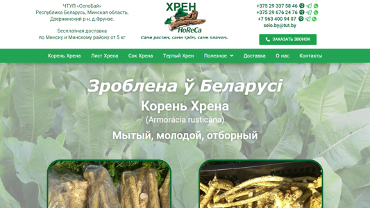 Скриншот сайта
