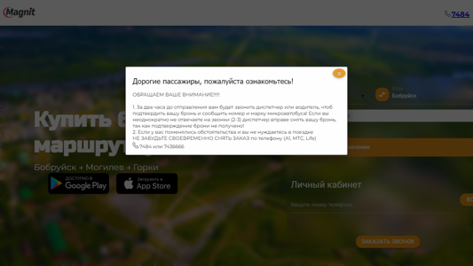 Скриншот сайта
