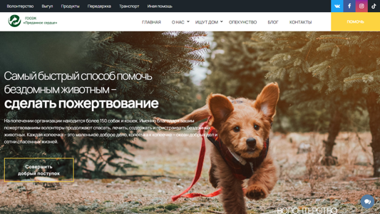 Скриншот сайта