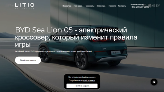 Скриншот сайта