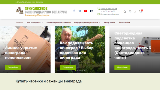 Скриншот сайта