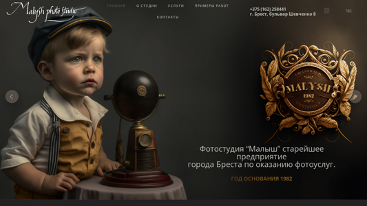Скриншот сайта