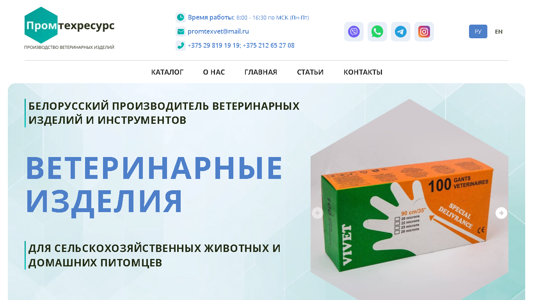 Скриншот сайта