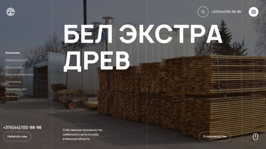 Скриншот сайта