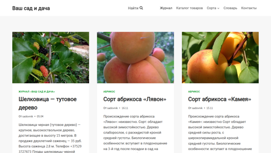 Скриншот сайта