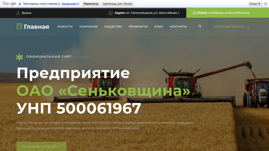 Скриншот сайта