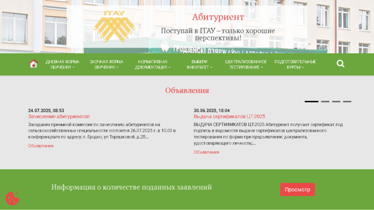 Скриншот сайта