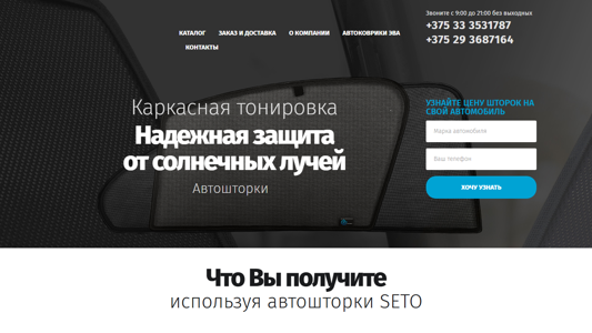 Скриншот сайта