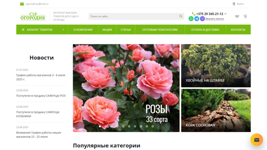 Скриншот сайта