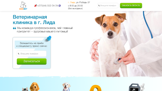 Скриншот сайта