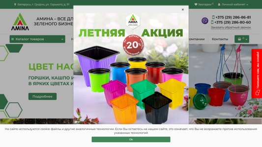 Скриншот сайта