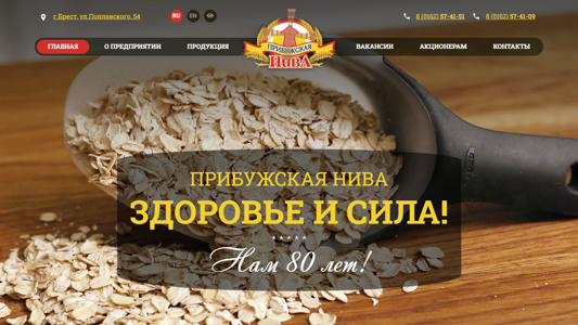 Скриншот сайта