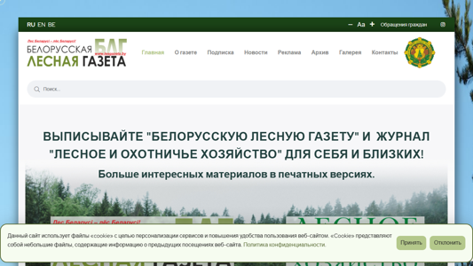 Скриншот сайта