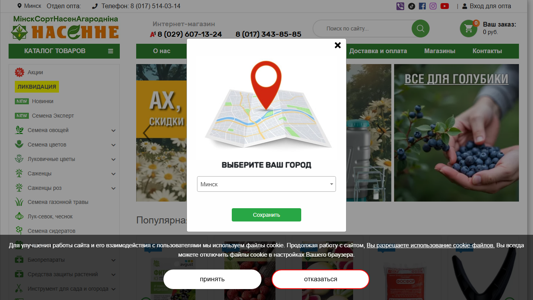 Скриншот сайта