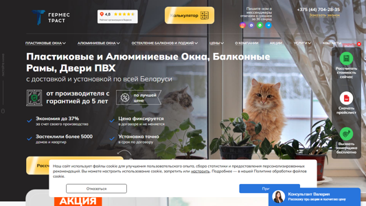 Скриншот сайта