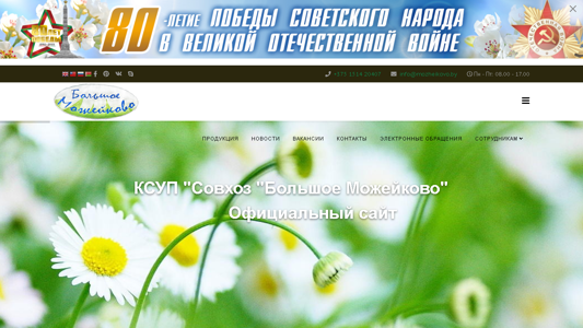 Скриншот сайта