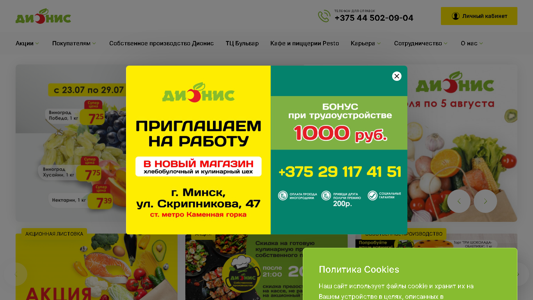 Скриншот сайта