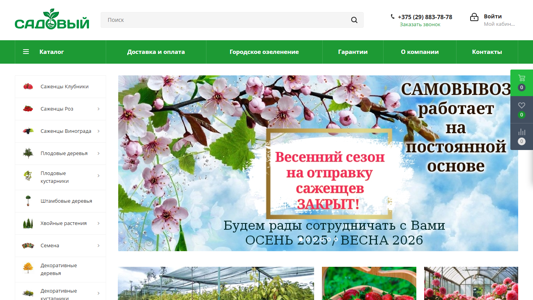 Скриншот сайта
