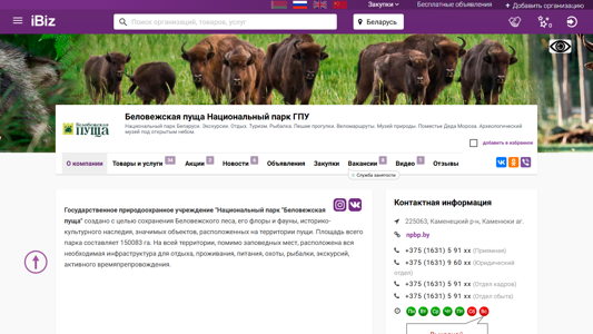 Скриншот сайта