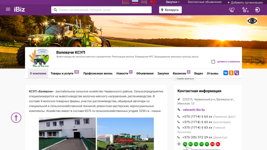Скриншот сайта