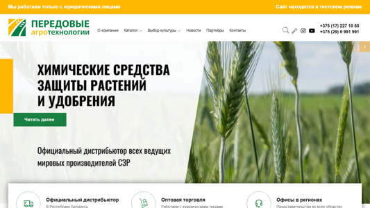 Скриншот сайта