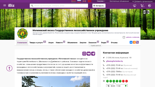 Скриншот сайта