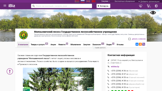 Скриншот сайта