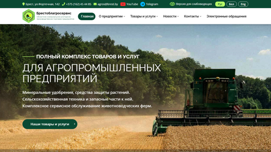 Скриншот сайта