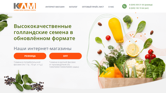 Скриншот сайта