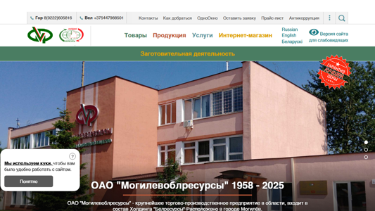 Скриншот сайта