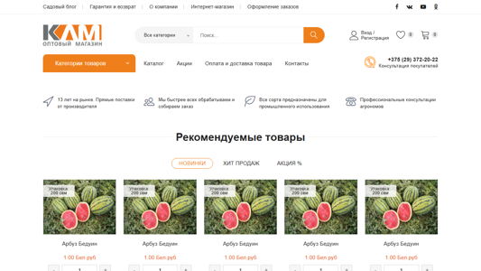 Скриншот сайта