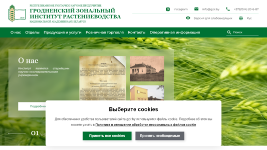 Скриншот сайта