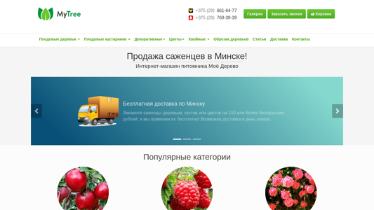 Скриншот сайта