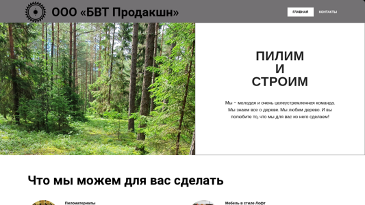 Скриншот сайта