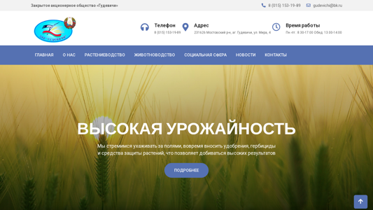 Скриншот сайта