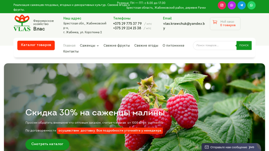 Скриншот сайта