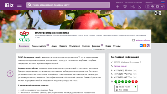 Скриншот сайта