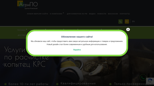 Скриншот сайта