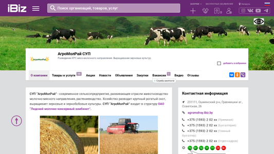 Скриншот сайта