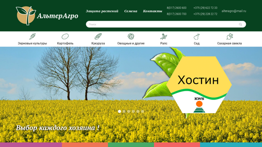 Скриншот сайта