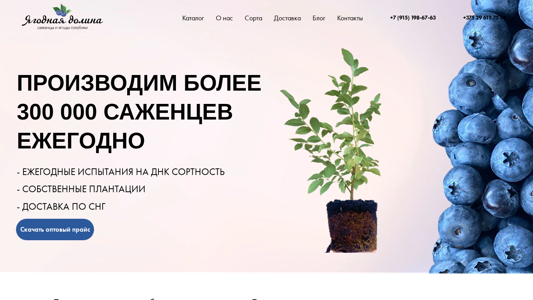 Скриншот сайта