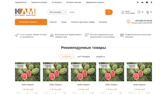 Скриншот сайта