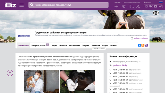 Скриншот сайта