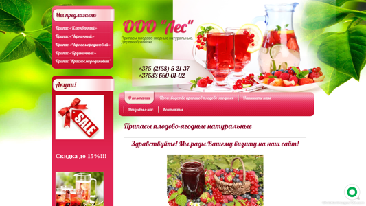 Скриншот сайта
