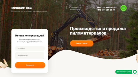 Скриншот сайта