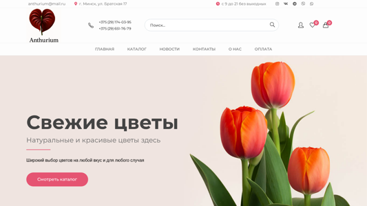 Скриншот сайта