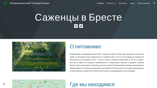 Скриншот сайта
