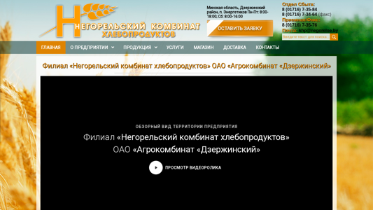 Скриншот сайта