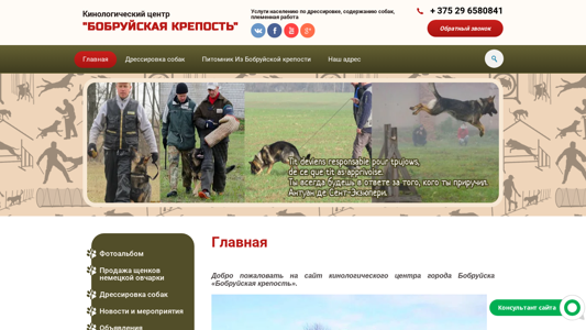 Скриншот сайта